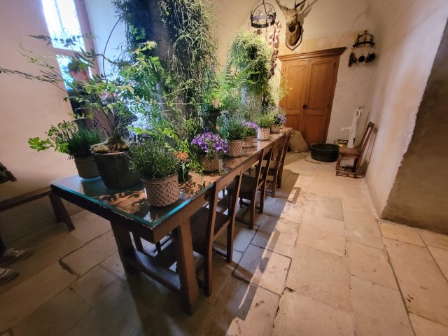 20220523_104254.jpg